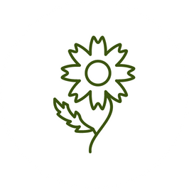 Natuurlijk geurcomponent met kaneeltonen – geeft warmte en een kruidige geurbeleving.