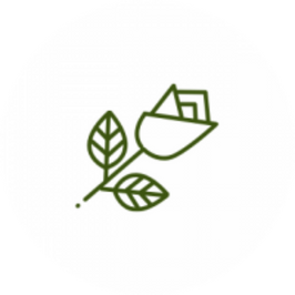 Natuurlijk geurcomponent uit bloemen en fruit – geeft een frisse, rozenachtige geur.