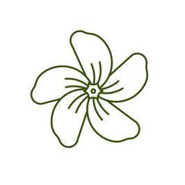 Bloemige geurcomponent – geeft je shampoo een luxueuze, jasmijnachtige geurervaring.