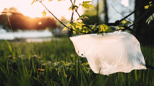 Een dagje zonder plastic leven - kan dat? - HappySoaps NL