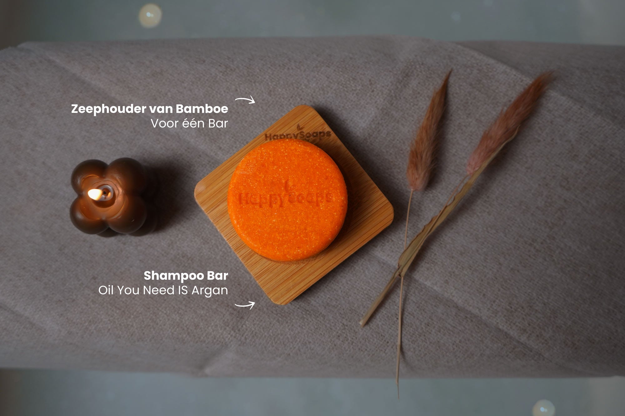 Oil You Need is Argan Shampoo Giftset