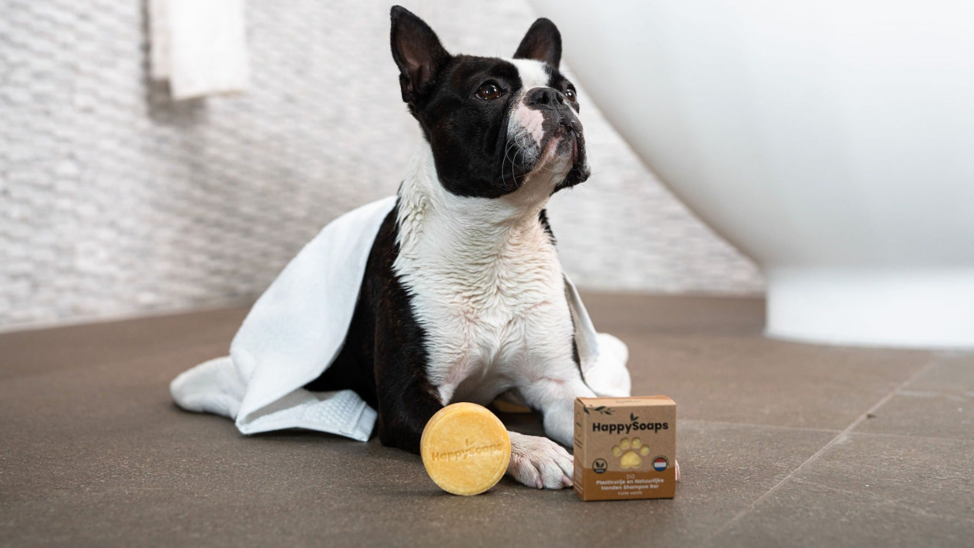 Honden Shampoo Bar – Korte Vacht