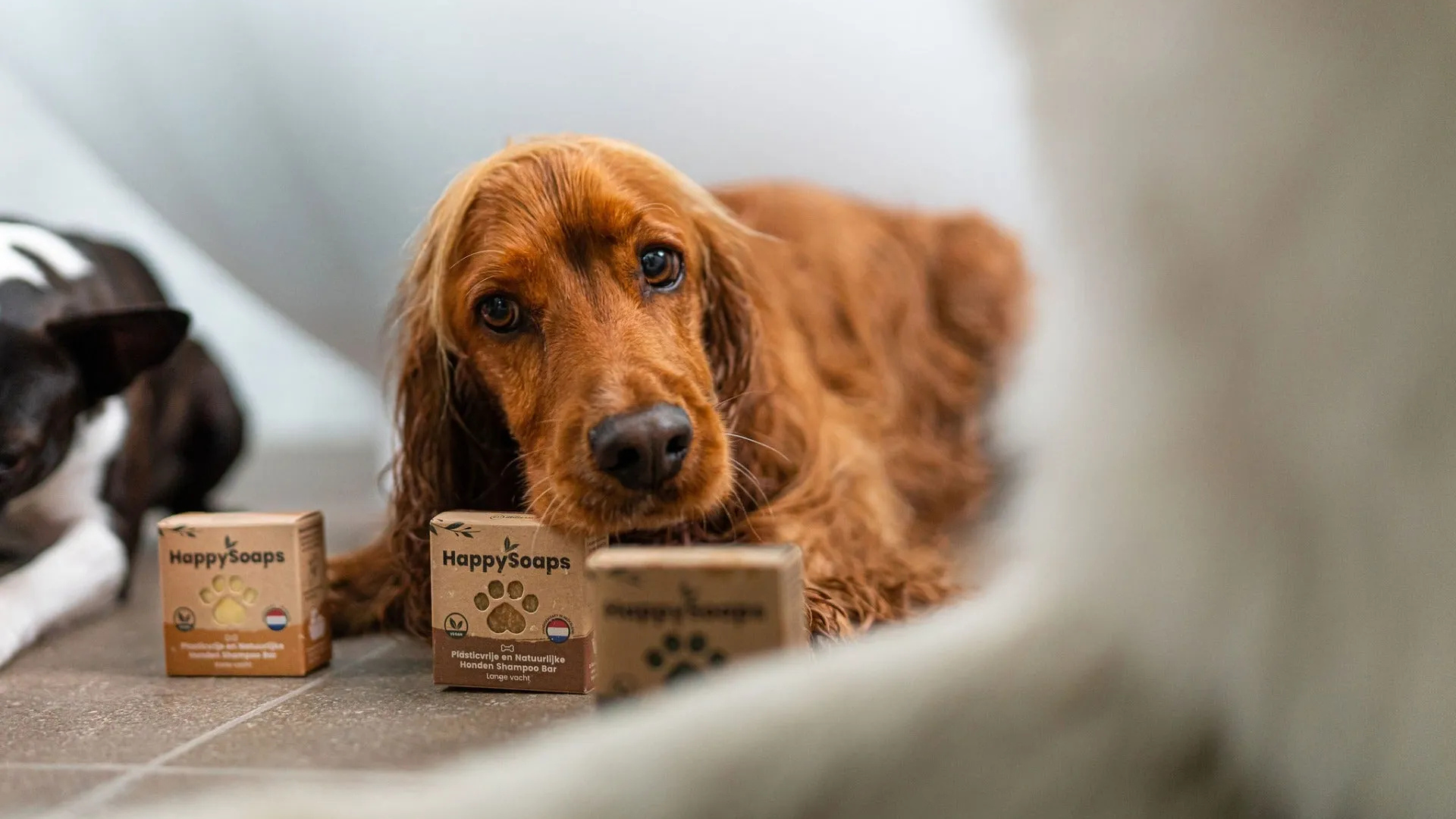 Honden Shampoo Bar – Lange Vacht