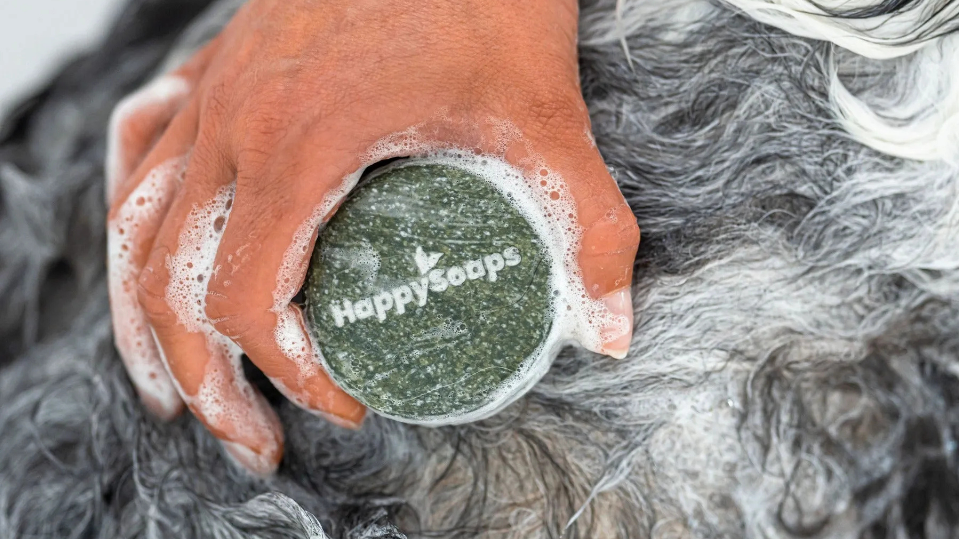 Honden Shampoo Bar – Universeel