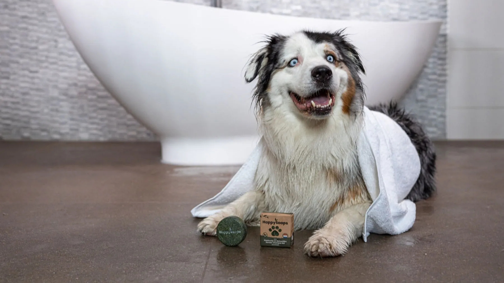 Honden Shampoo Bar – Universeel