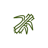 Lemongrass