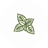 Menthol