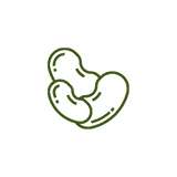 Pea Peptide