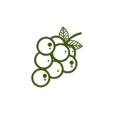 Resveratrol