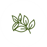 Xylitol