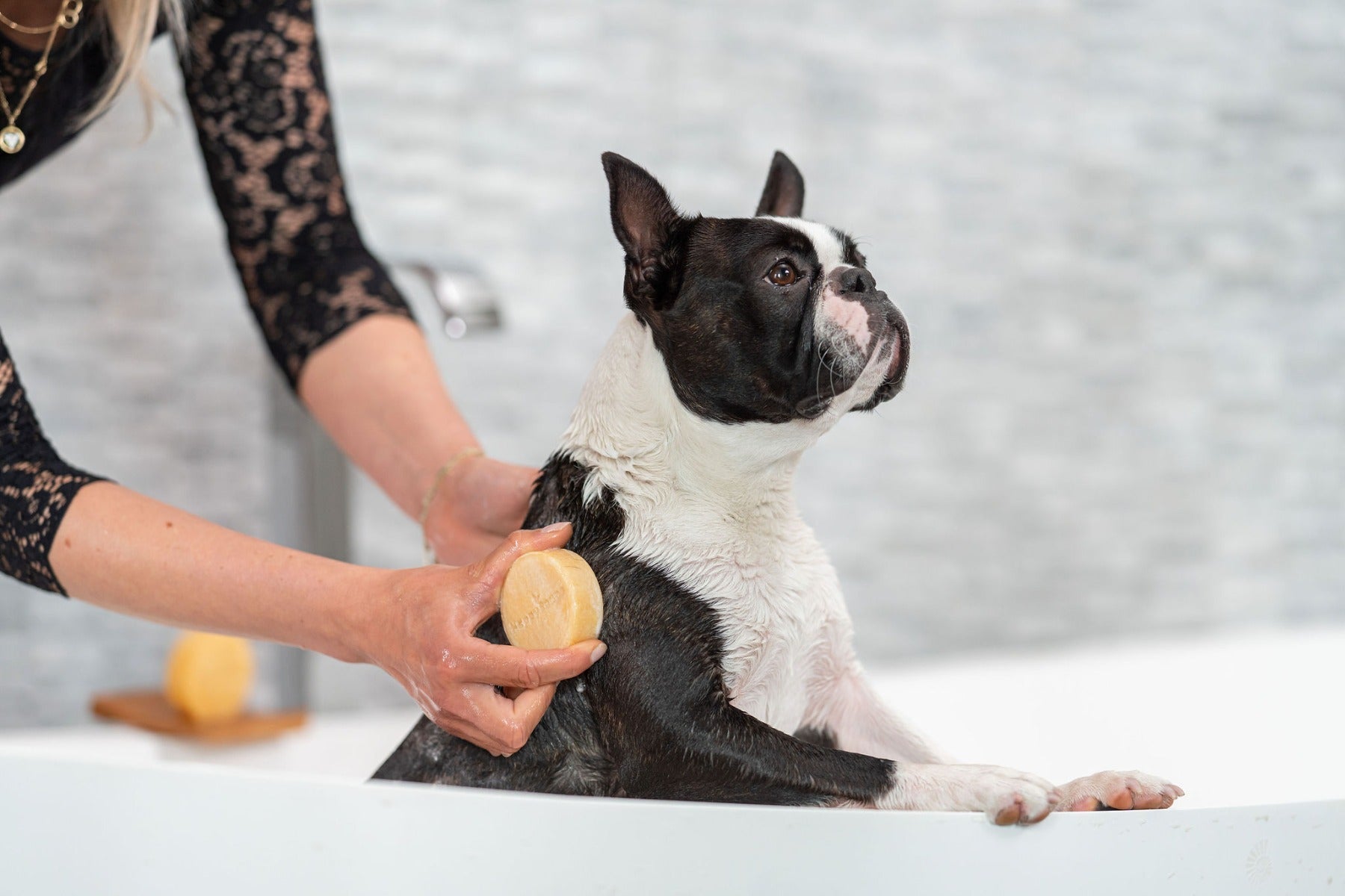 Honden Shampoo Bar – Korte Vacht, HappySoaps NL
