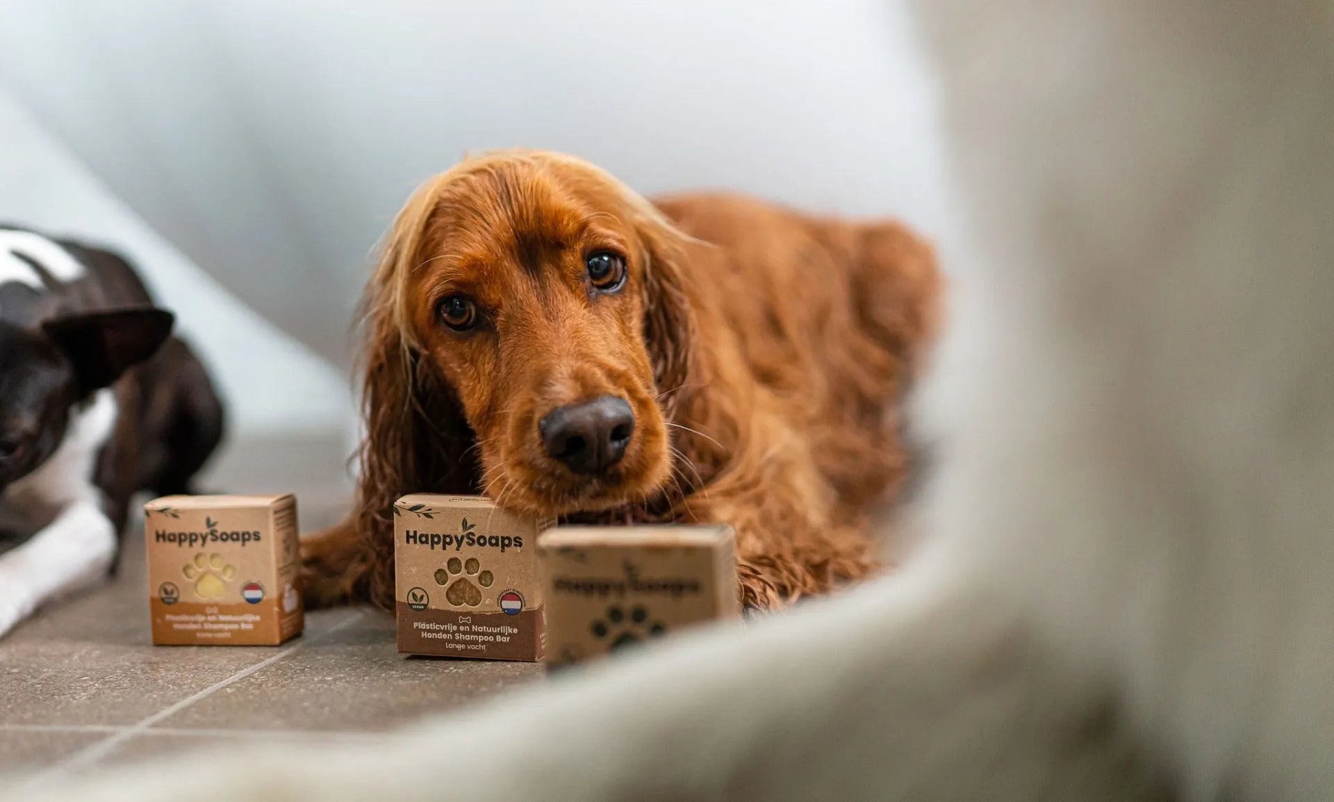 Honden Shampoo Bar – Lange Vacht, HappySoaps NL